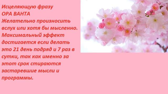Освобождает, от всего, что мешает гармоничному состоянию, убирает лишний вес. Просто слушайте! смотреть онлайн