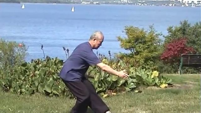 Taijiquan 88 Forms  88式太极拳 1/2