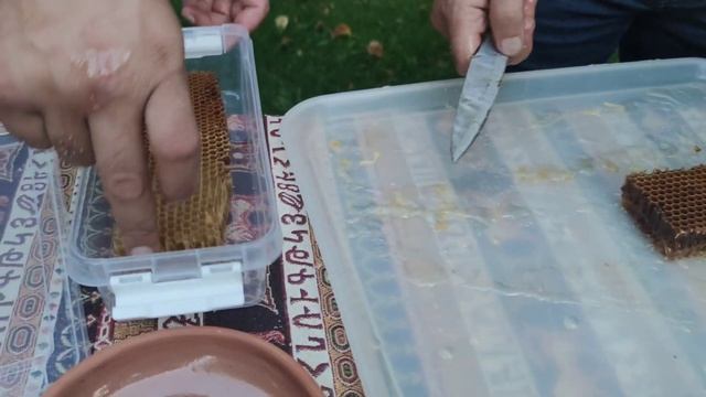 Мед в сотах из гор Армении смотреть онлайн