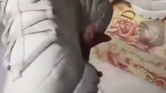 Кроссовки Dior женские смотреть онлайн