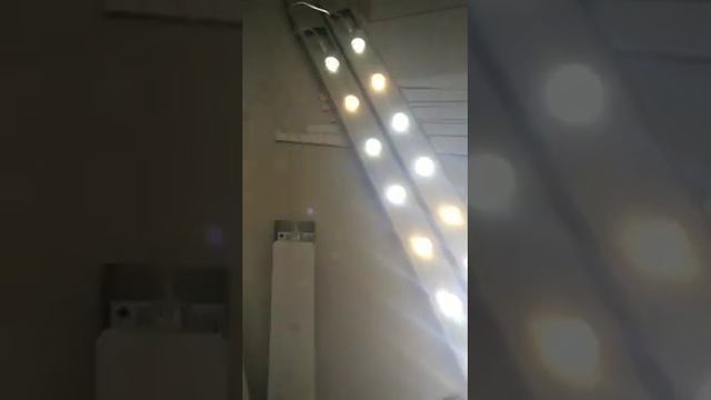 Светильники светодиодные для освещения витрин в ювелирном магазине в г. Москва аэропорт Шереметьево смотреть онлайн