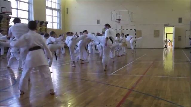 Семинар Дорменко 2015 1 смотреть онлайн