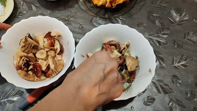 Сыроежки Вкусный и быстрый рецепт приготовления Малосольные сыроежки смотреть онлайн