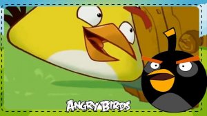 Angry Birds Toons Season 1 Episode 1 Chuck Time