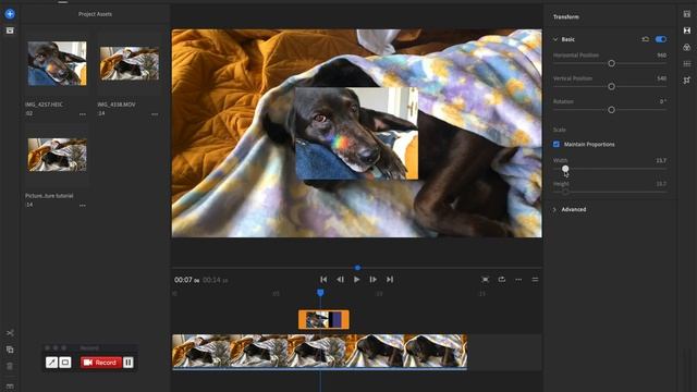 How to create Picture-in-picture effect on Adobe Premiere Rush смотреть онлайн