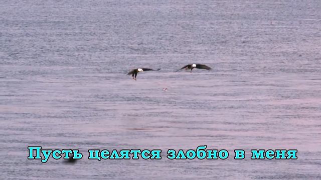 На крыльях могучих орлиных смотреть онлайн