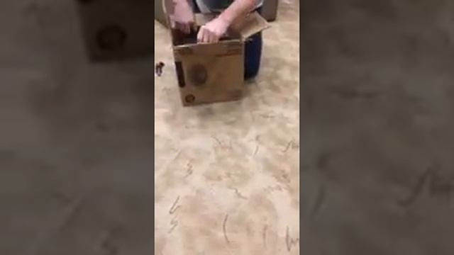 Тепловентилятор промышленный VITALS EH 35 смотреть онлайн