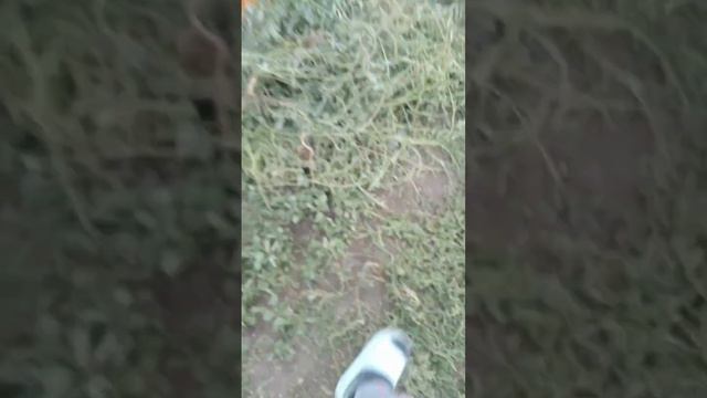 прощай лето смотреть онлайн
