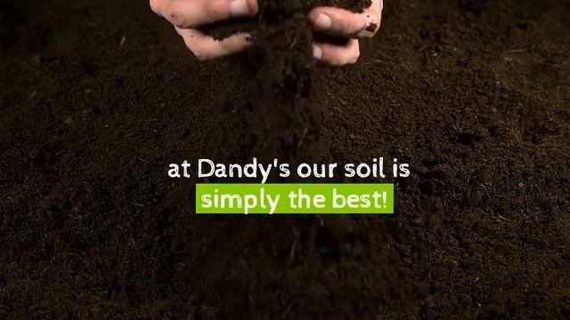 Dandy's Topsoil... simply the best! смотреть онлайн