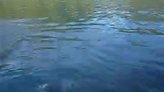 lakse fiske i kano смотреть онлайн