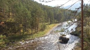 Молодые колени   Сытин Г.Н.