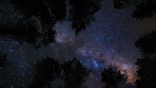 [Playlist] 10분안에 마취시켜주는 수면유도 첼로음악 | 잠잘때 듣는 음악 (cello relaxing music) смотреть онлайн