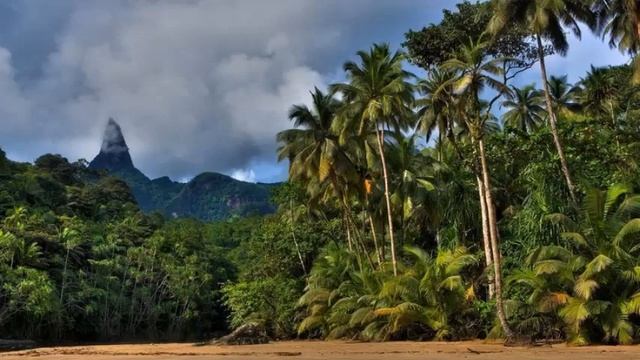 Сан -Томе и Принсипи (Sao -Tome and Principe) смотреть онлайн