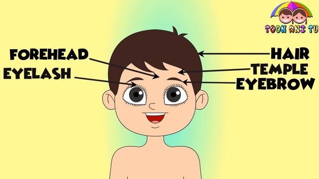 All Parts of the Face in English | # human Face Parts Names | Human Head Vocabulary смотреть онлайн