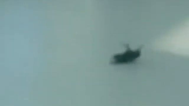 Муха танцует брейк данс смотреть онлайн