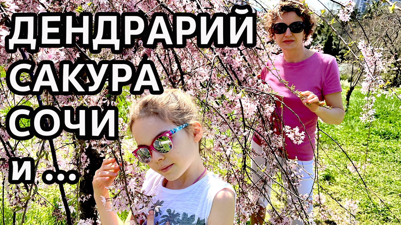 Дендрарий в Сочи смотреть онлайн