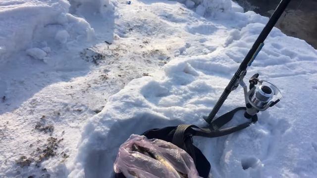 ТОМЬ-НОВОКУЗНЕЦК смотреть онлайн