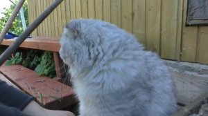 БИЛ И ПАПА ВЫКОПАЛИ МАГИЧЕСКУЮ ШКАТУЛКУ! КЕВИН В ПАНИКЕ! МАМА ВСЕ ИСПОРТИЛА!