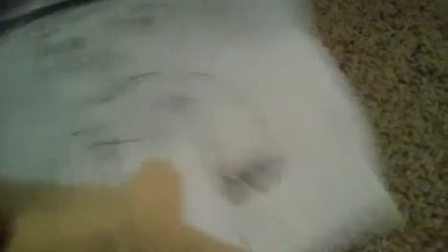 Minecraft Story mode Characters in real life смотреть онлайн