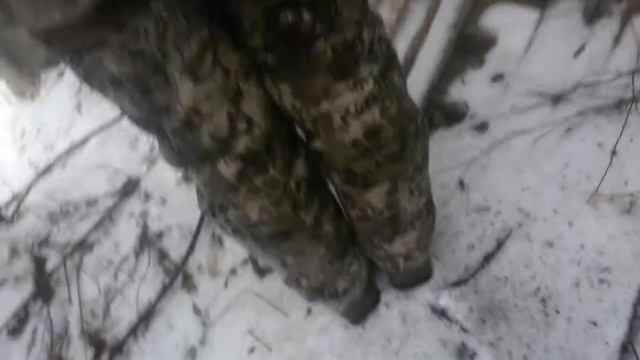 Можно сдохнуть в библиотеке смотреть онлайн