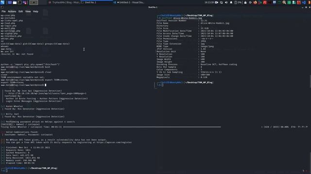 TryHackMe Wordpress Blog | Jr Penetration Tester Path смотреть онлайн