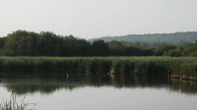 №2513 28 08 2022 Время летать смотреть онлайн