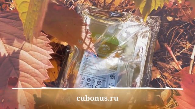 Первый сентябрьский совместный заказ на computeruniverse смотреть онлайн