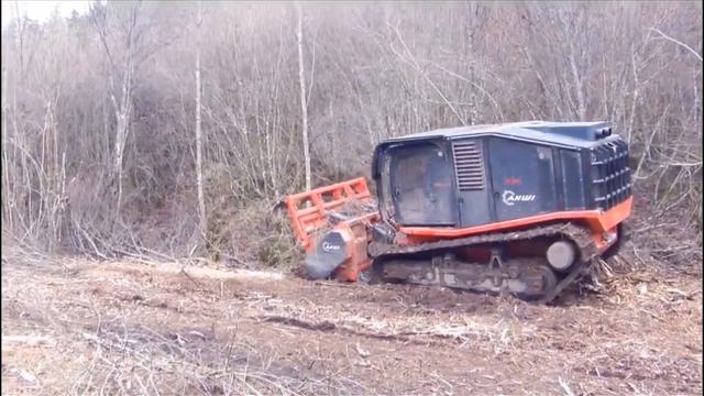 Мульчер Prinoth AHWI RAPTOR 800 смотреть онлайн