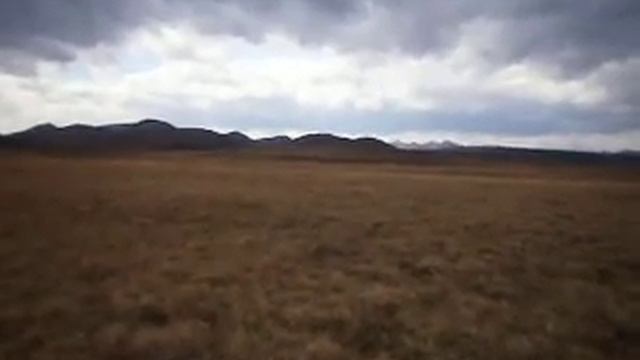 Добыл волка смотреть онлайн