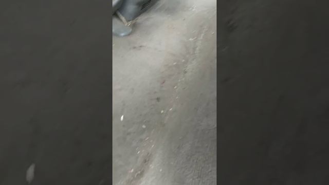 автомойка у Эрика!) смотреть онлайн