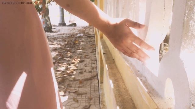 Девушка набирает воду с пруда смотреть онлайн