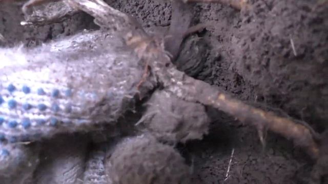 Коп в Казахстане - на поле - 24 апрель смотреть онлайн