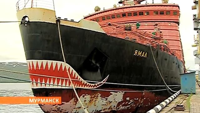 Белый медведь заставил учёных экспедиции на ледоколе «Ямал» сменить точку исследований 09.06.2014 смотреть онлайн