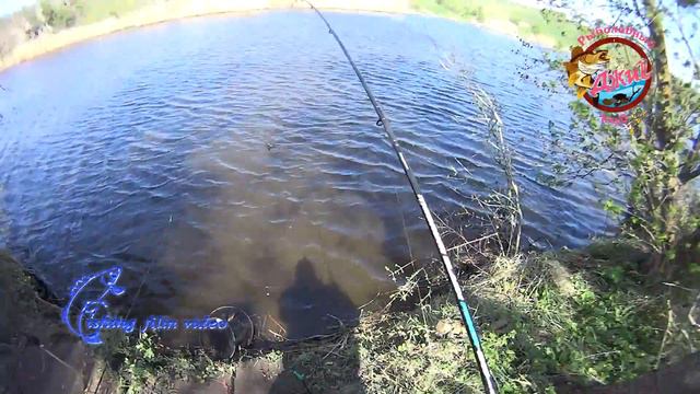 Рыбалка на карася на дальний заброс Недайвода смотреть онлайн