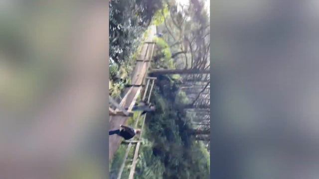 «Поездка на Океан Florence » музыка Александр Удовенко смотреть онлайн