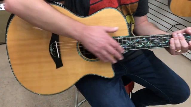Taylor PS14ce Cocobolo смотреть онлайн