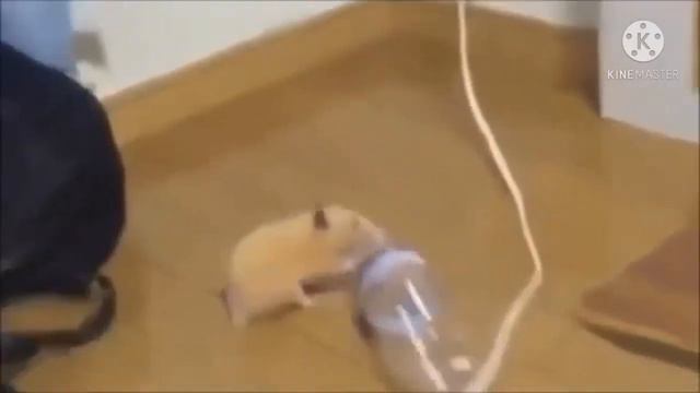 Когда исполнилось 18 лет смотреть онлайн