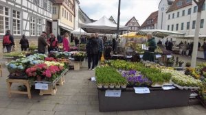 Жизнь в Германии сегодня | Будни в обычном немецком городе