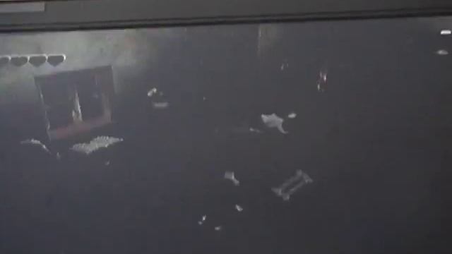 Petz Dogz 2 Walkthrough Part 7 смотреть онлайн