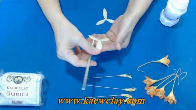 การสอนทำดอกว่านสิบแสน หรือดอกร้อยล้าน(How to make Clivia Miniata) смотреть онлайн