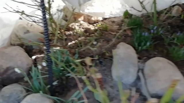 Здоровье и фитнес в старшем возрасте