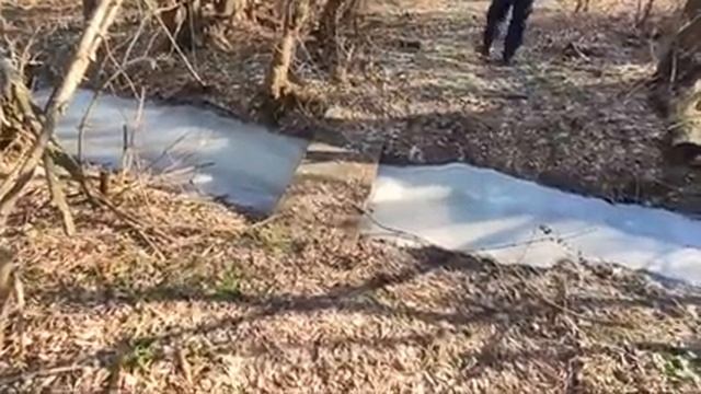 ХОЛОДЕЦ ИЗ ИНДЕЙКИ, ЧТО КУПИЛИ НА 800 руб / ЖИЗНЬ В ВОРОНЕЖСКОЙ ГЛУБИНКЕ смотреть онлайн