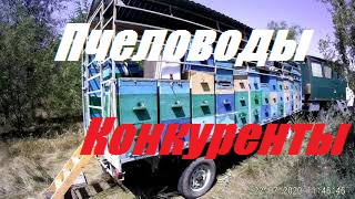 Пчеловод пчеловоду недруг.Как можно пчеловодить на стационаре смотреть онлайн