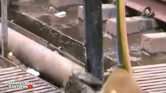 Если бы это не СНЯЛИ НА КАМЕРУ, никто бы не поверил ЖИВОТНЫЕ СПАСАЮТ ДРУГ ДРУГ смотреть онлайн