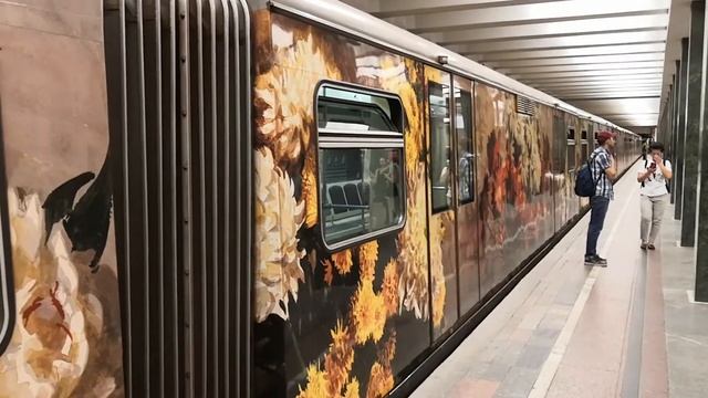 Поезд Акварель на станции Щелковская смотреть онлайн