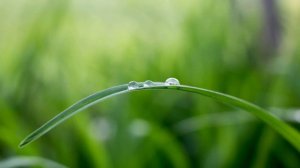 #Крайон .Майкл Томас и 7 ангелов .дом#6 (озвучивает НИКОШО)