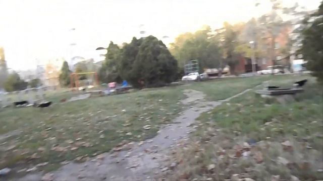 Анапский двор у школы № 7. Много собак!Anapa at the yard of school No. 7. A lot of dogs! смотреть онлайн