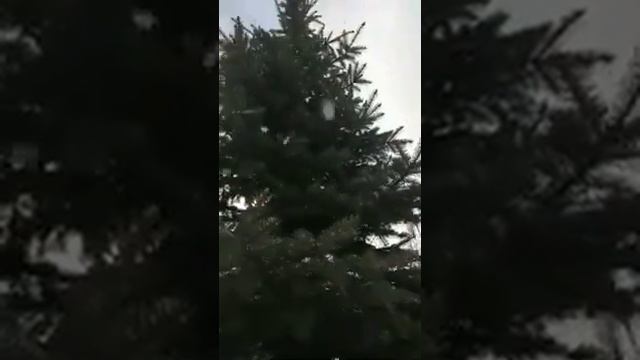 Господи Иисусе Христе Сыне Божий Помилуй мя!.mp4 смотреть онлайн