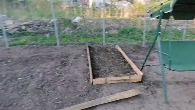 ДАЧА?ЧТО НОВОГО ?ПОСЛЕДНИЕ НОВОСТИ ? #ДАЧА #РАССАДА #ПОМИДОРЫ #ЦВЕТЫ #ЯБЛОНЯ #ПОЛИВ #САДОВОД смотреть онлайн