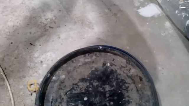 МОЯ ПЕРВАЯ ГРИБНИЦА. ВЫПУСК-1.ШАМПИНЬОНЫ. смотреть онлайн